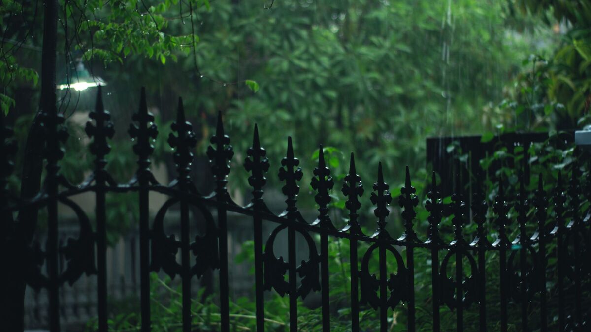 A black ornamental metal fence with decorative tops in front of dense green trees